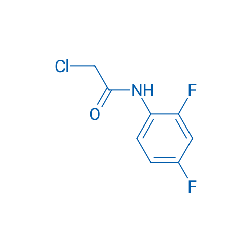 2-Chloro-N-(2,4-difluorophenyl)acetamide 10g