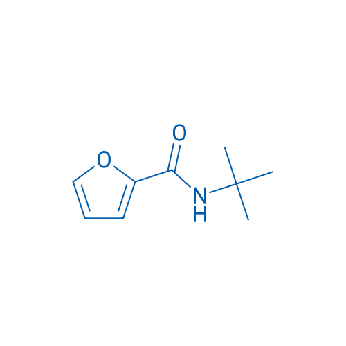 N-(tert-Butyl)furan-2-carboxamide 100mg
