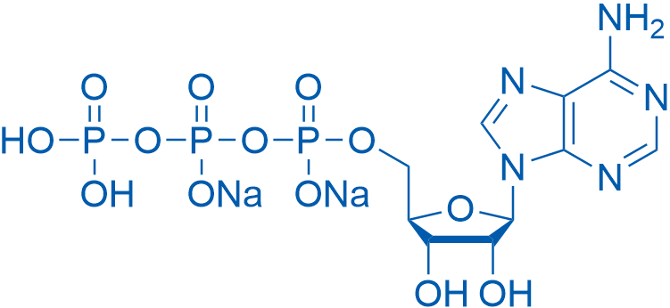 ATP disodium salt 100g
