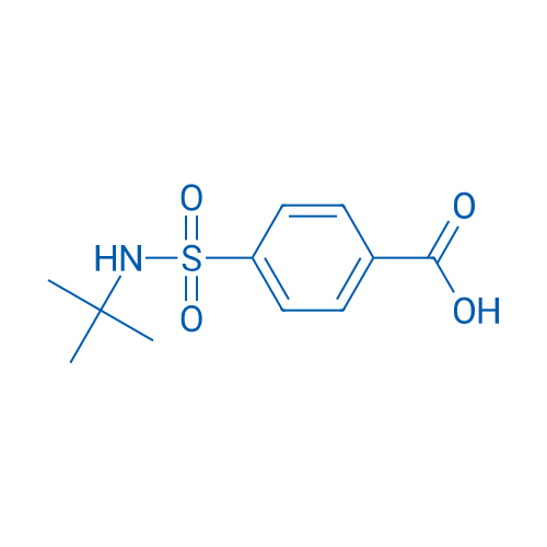 4-[(tert-Butylamino)sulfonyl]benzoic Acid 1g