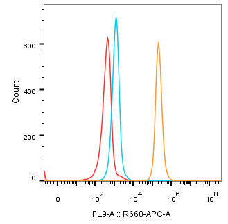 CD40 Rabbit mAb