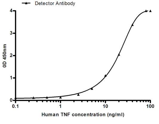 TNF alpha (5F3) Mouse Monoclonal Antibody
