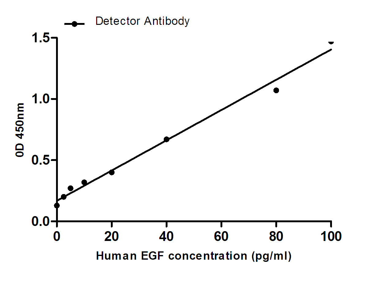 EGF (5E9) Mouse Monoclonal Antibody