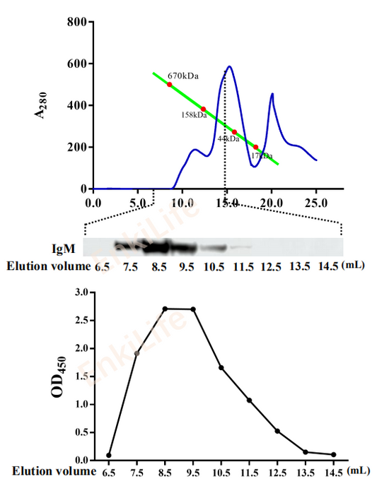 Mouse anti-Goldfish IgM heavy chain Monoclonal Antibody