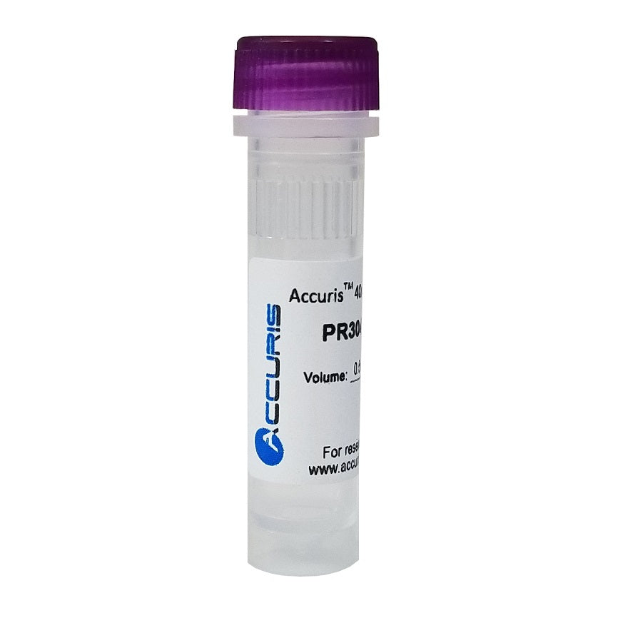 40mM dNTP Mix (10mM/20µmol each), 0.5ml