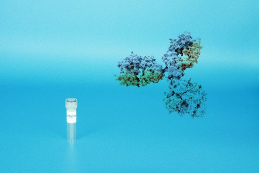 Mouse monoclonal antibody to Human Defensin-5 (Clone 8C8) - AffinityImmuno