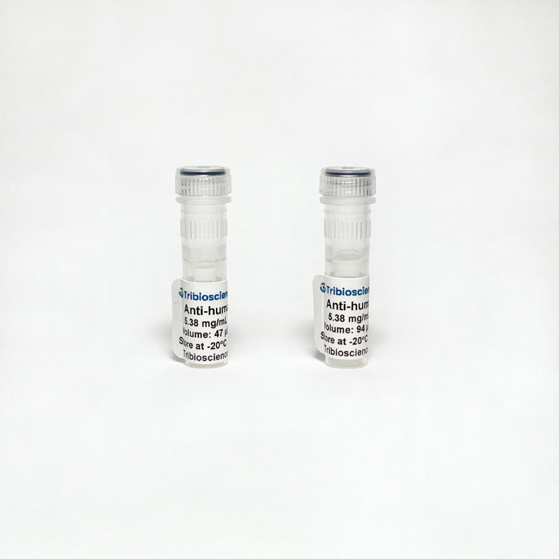 Monoclonal Anti-human IgA antibody.