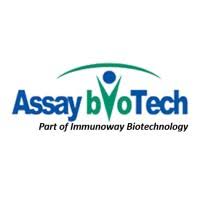 ZNF80 Antibody