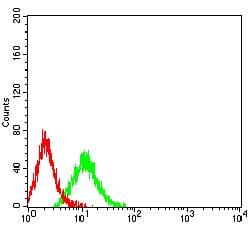 CHRM3 Monoclonal Antibody
