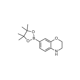 7-(4,4,5,5-Tetramethyl-1,3,2-dioxaborolan-2-yl)-3,4-dihydro-2H-benzo[b][1,4]oxazine
