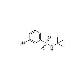 3-Amino-N-(1,1-dimethylethyl)benzenesulfonamide
