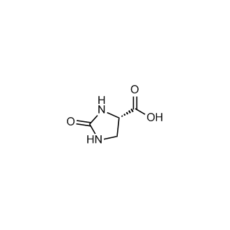 (S)-2-Oxoimidazolidine-4-carboxylic acid