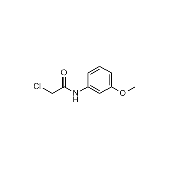 2-Chloro-N-(3-methoxyphenyl)acetamide