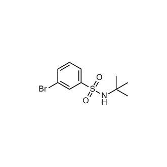 3-Bromo-N-(tert-butyl)benzenesulfonamide
