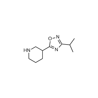 3-(3-Isopropyl-1,2,4-oxadiazol-5-yl)piperidine