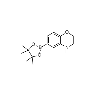 6-(4,4,5,5-Tetramethyl-1,3,2-dioxaborolan-2-yl)-3,4-dihydro-2H-benzo[b][1,4]oxazine