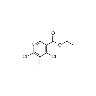 Ethyl 4,6-dichloro-5-methylnicotinate