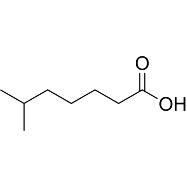 6-Methylheptanoic acid