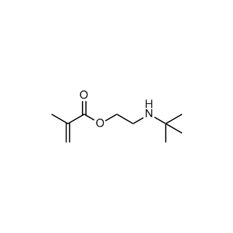 2-(tert-Butylamino)ethyl methacrylate(stabilizedwithMEHQ)
