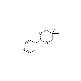 4-(5,5-Dimethyl-1,3,2-dioxaborinan-2-yl)pyridine
