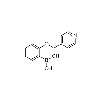 2-(Pyridin-4-ylmethoxy)phenylboronic acid