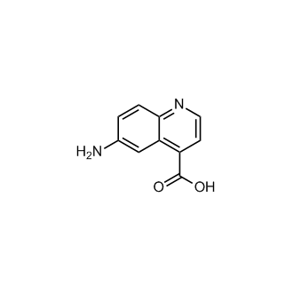 6-Aminoquinoline-4-carboxylic acid