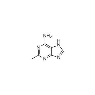 2-Methyl-6-aminopurine