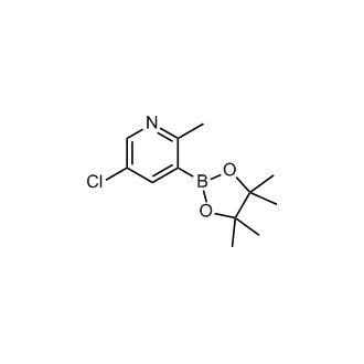 2-Methyl-5-chloropyridine-3-boronic acid pinacol ester