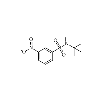 N-(tert-Butyl)-3-nitrobenzenesulfonamide