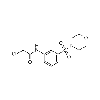 2-Chloro-N-[3-(morpholine-4-sulfonyl)phenyl]acetamide