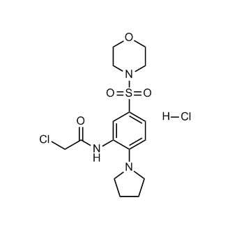 2-Chloro-N-[5-(morpholine-4-sulfonyl)-2-(pyrrolidin-1-yl)phenyl]acetamide hydrochloride