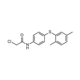2-Chloro-n-{4-[(2,5-dimethylphenyl)sulfanyl]phenyl}acetamide