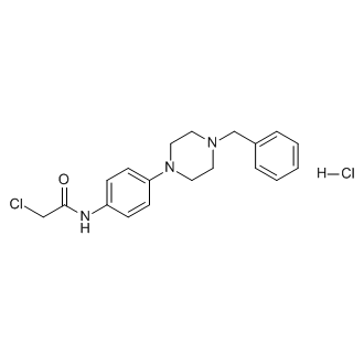 n-[4-(4-benzylpiperazin-1-yl)phenyl]-2-chloroacetamide hydrochloride
