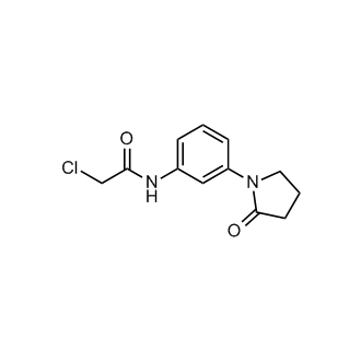 2-Chloro-n-[3-(2-oxopyrrolidin-1-yl)phenyl]acetamide