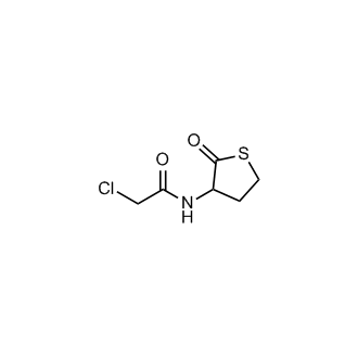 2-Chloro-n-(2-oxothiolan-3-yl)acetamide