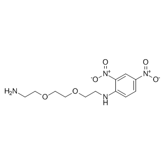 N-(2-(2-(2-Aminoethoxy)ethoxy)ethyl)-2,4-dinitroaniline