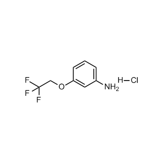3-(2,2,2-Trifluoroethoxy)aniline hydrochloride