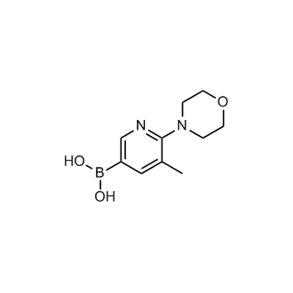 (5-Methyl-6-morpholinopyridin-3-yl)boronic acid