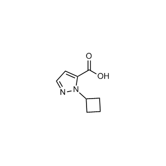 1-Cyclobutyl-1H-pyrazole-5-carboxylic acid