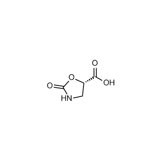 (S)-2-oxooxazolidine-5-carboxylic acid