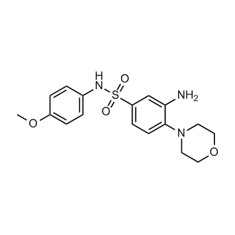 3-Amino-N-(4-methoxyphenyl)-4-morpholinobenzenesulfonamide