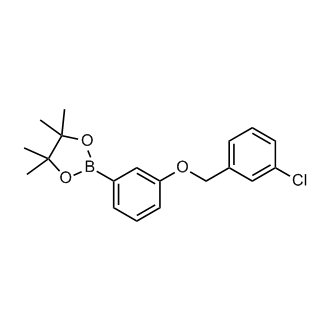 2-(3-((3-Chlorobenzyl)oxy)phenyl)-4,4,5,5-tetramethyl-1,3,2-dioxaborolane