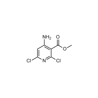 Methyl 4-amino-2,6-dichloronicotinate