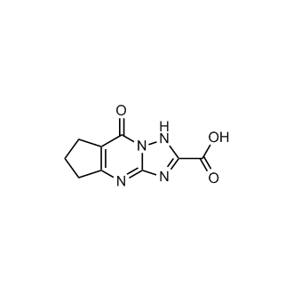 8-Oxo-5,6,7,8-tetrahydro-1H-cyclopenta[d][1,2,4]triazolo[1,5-a]pyrimidine-2-carboxylic acid