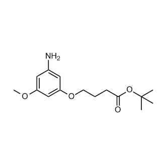 1,1-Dimethylethyl 4-(3-amino-5-methoxyphenoxy)butanoate