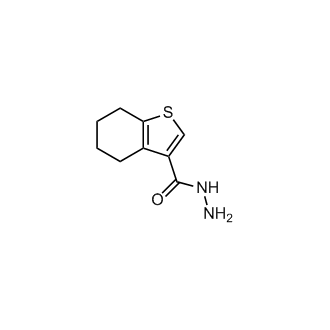 4,5,6,7-Tetrahydrobenzo[b]thiophene-3-carbohydrazide