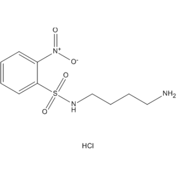 N-(4-Aminobutyl)-2-nitrobenzenesulfonamide hydrochloride