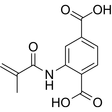 2-Methacrylamidoterephthalic acid