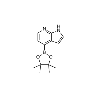 4-(4,4,5,5-Tetramethyl-1,3,2-dioxaborolan-2-yl)-1H-pyrrolo[2,3-b]pyridine