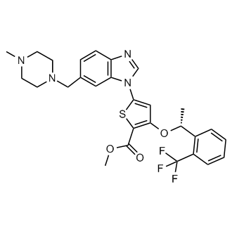 (R)-methyl 5-(6-((4-methylpiperazin-1-yl)methyl)-1H-benzo[d]imidazol-1-yl)-3-(1-(2-(trifluoromethyl)phenyl)ethoxy)thiophene-2-carboxylate